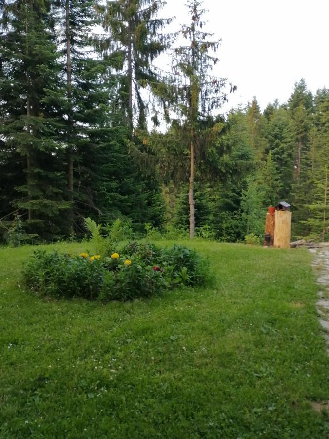 P-Zlatar, Apartman 3 Brdo Exteriér fotografie